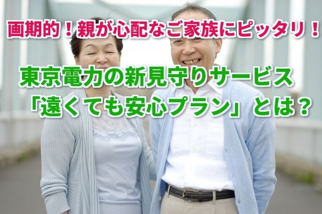【インフォメティス】東京電力の見守りサービス「遠くても安心プラン」の内容と評判は!?